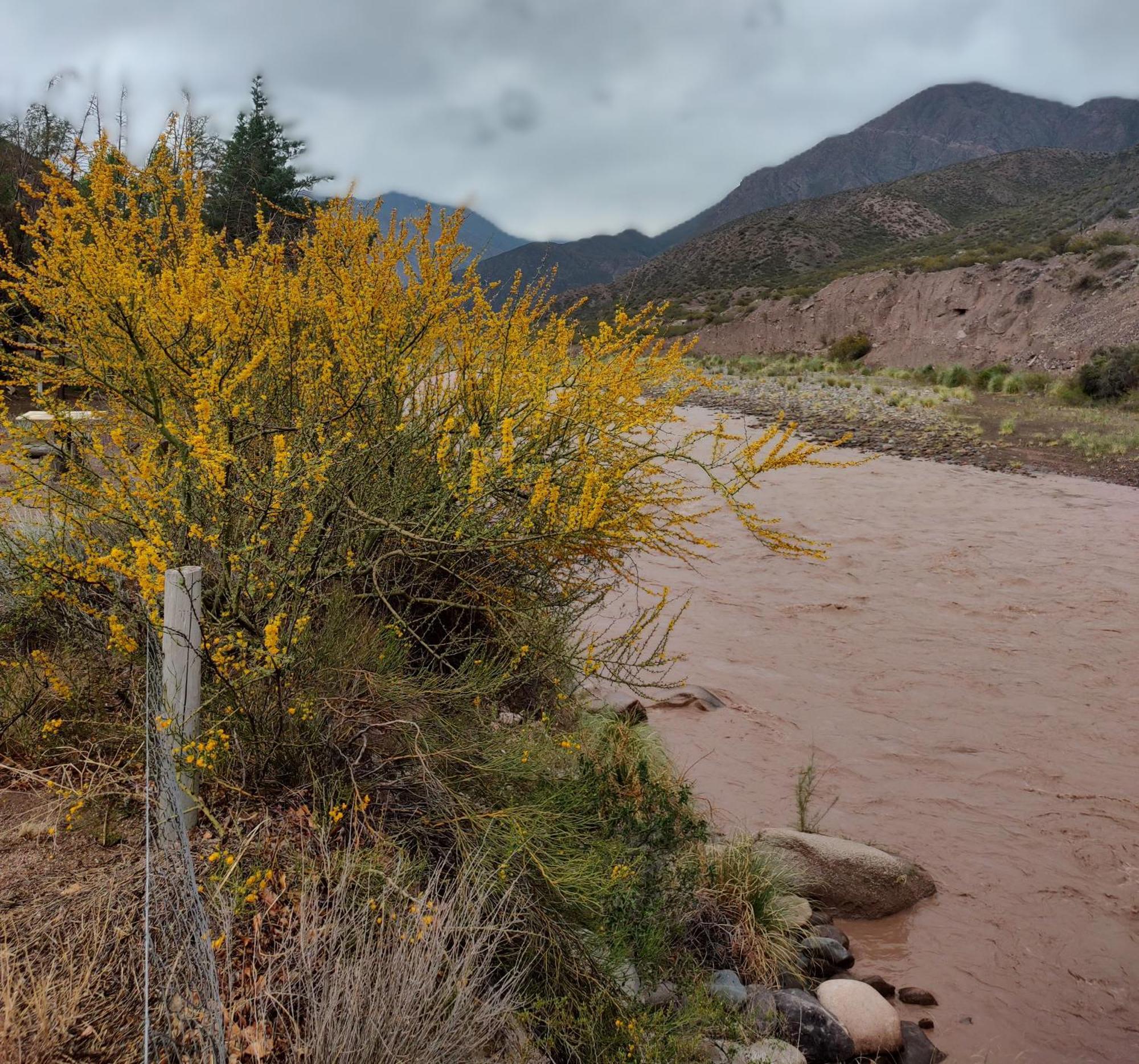 Vila Mendoza Sol Y Nieve Potrerillos Exteriér fotografie